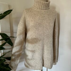 Everlane Cloudneck Turtleneck - Like New!